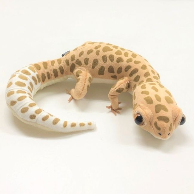 ヒョウモントカゲモドキ ぬいぐるみ ヒョウモントカゲモドキ ぬいぐるみ ピンク ブラック ブラウン