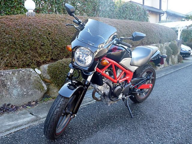 種類11:スモーク/イタリアンレッド VTR250 ビキニカウル タイプR