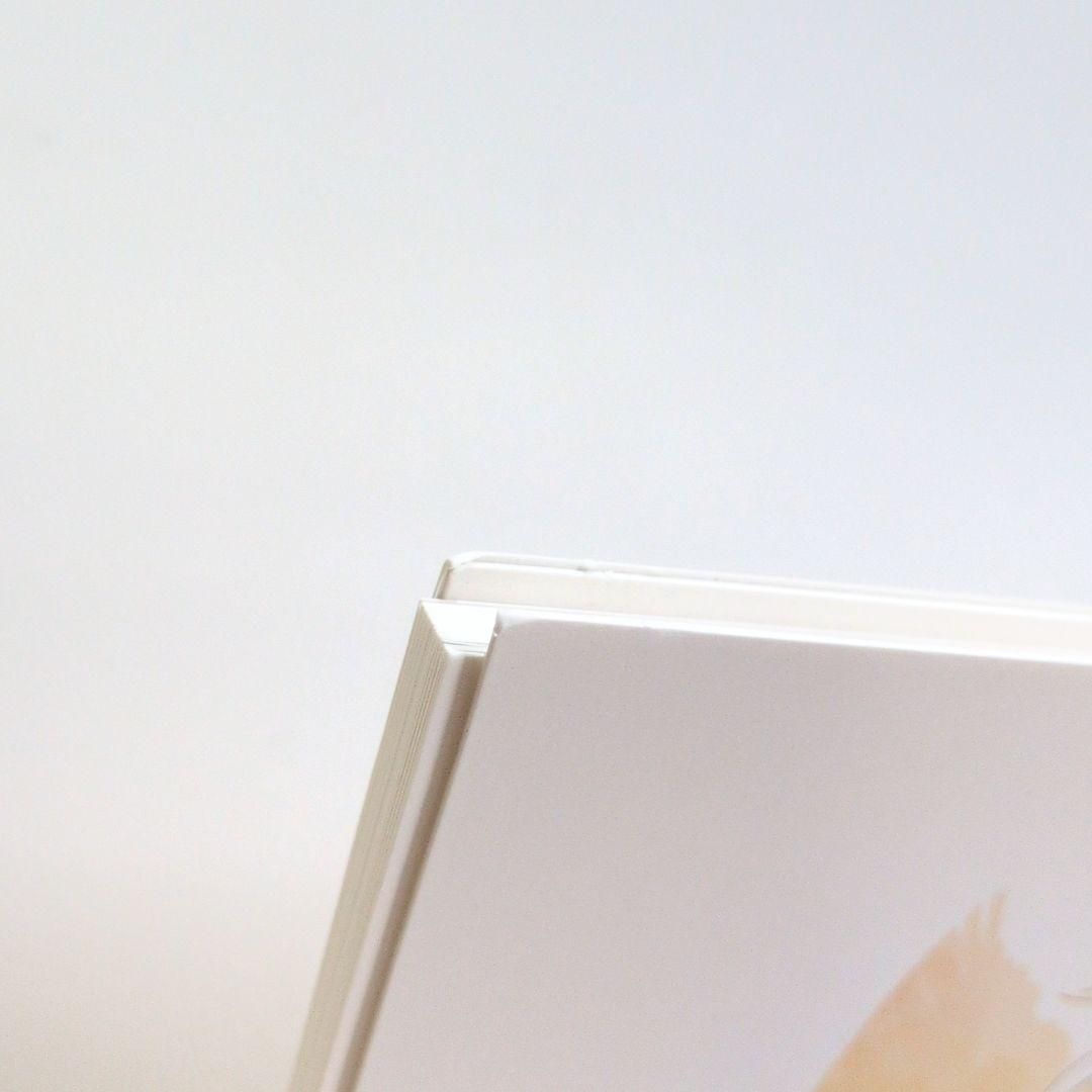 サンタマリア リミテッド ユニバーサル 限定 米津玄師 ハチ ボカロP CD サンタマリア リミテッド ユニバーサル 限定 米津玄師 ハチ