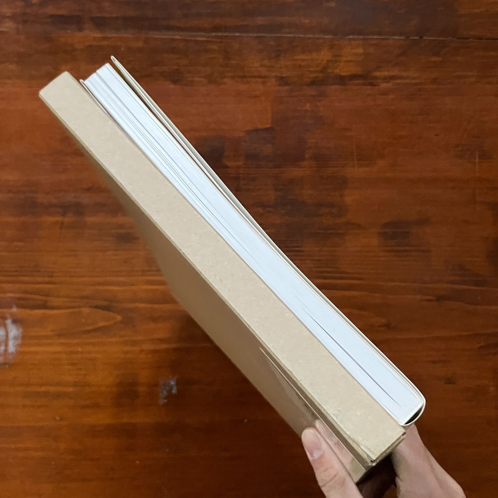 呉昌碩書画集 : 生誕一六〇周年記念 呉昌碩 書 ; 謙慎書道会 編