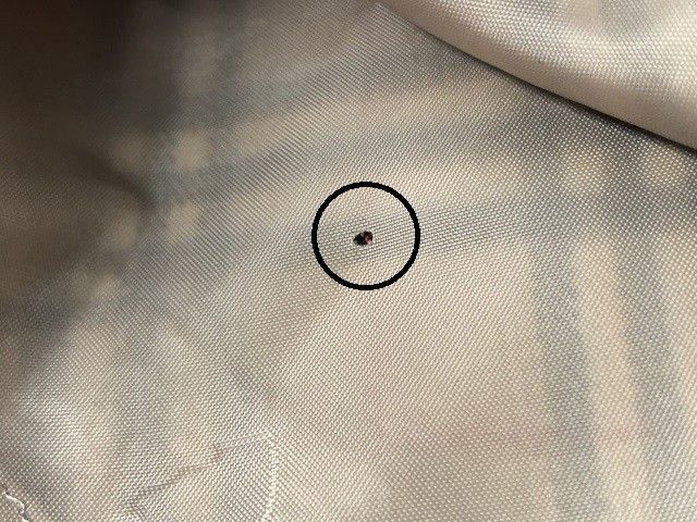 中古】 BURBERRY BLUE LABEL バーバリーブルーレーベル スカート