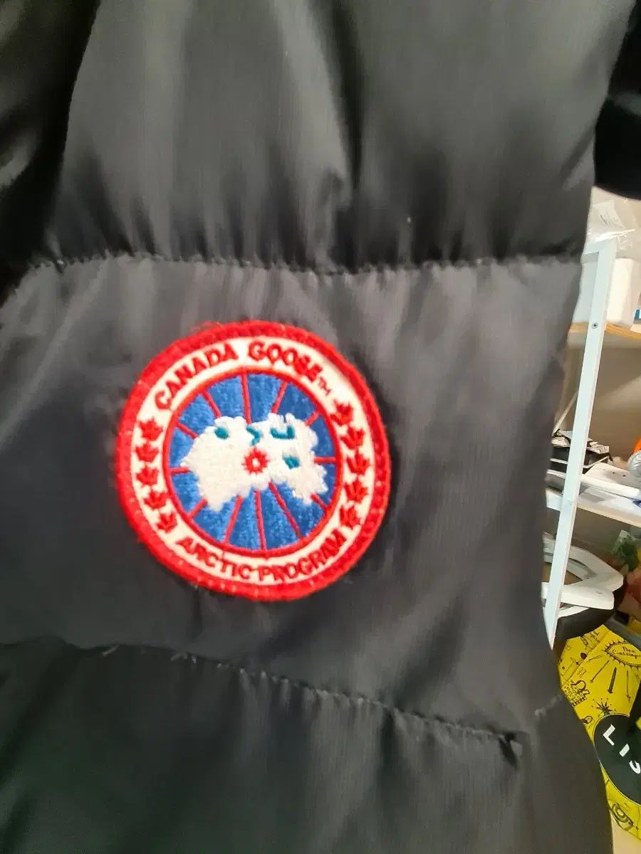 Canada Goose