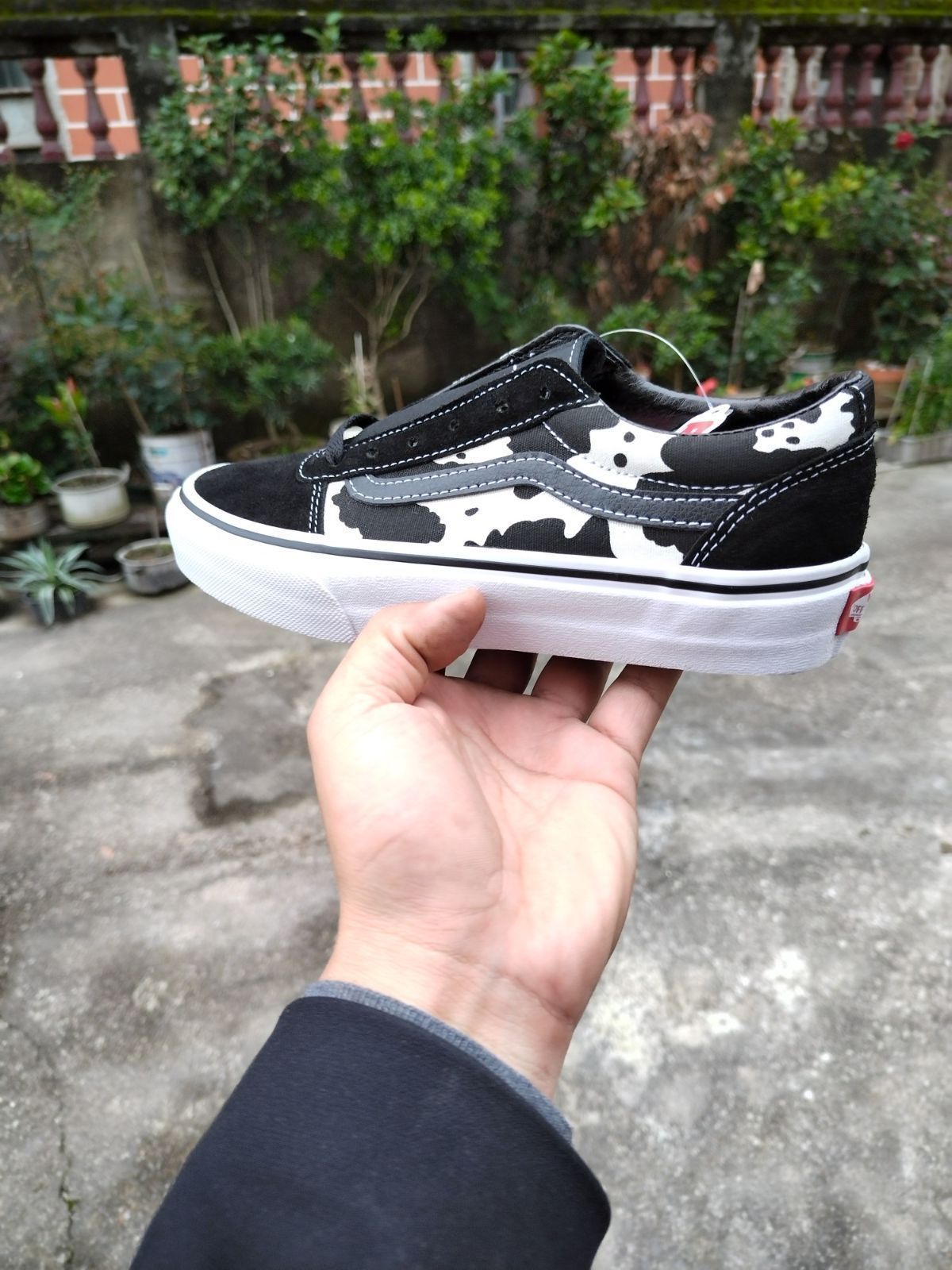 コウモリ柄 アメリカン