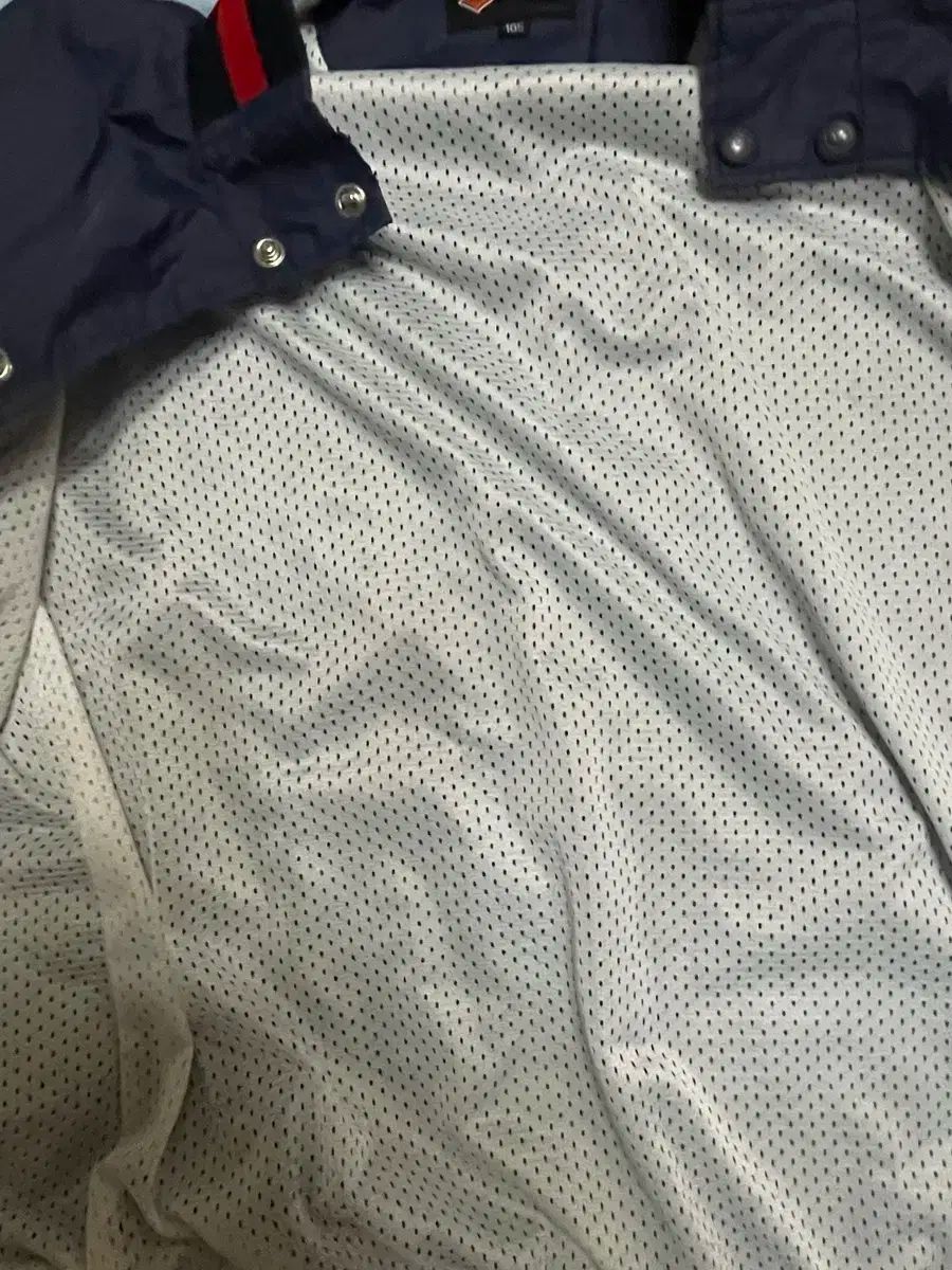 ロッテ ジャイアンツ