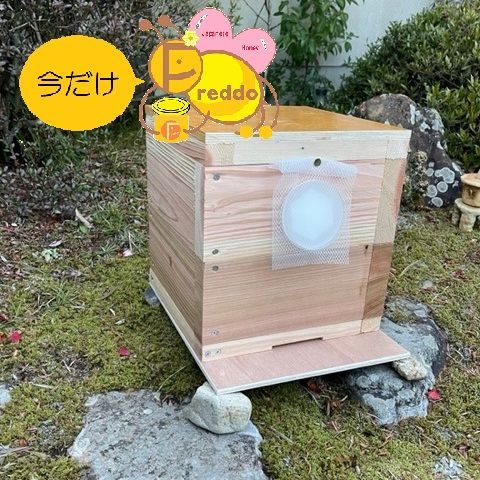 サンテクレアール　フローライト5本 サンテクレアールフローライト5本