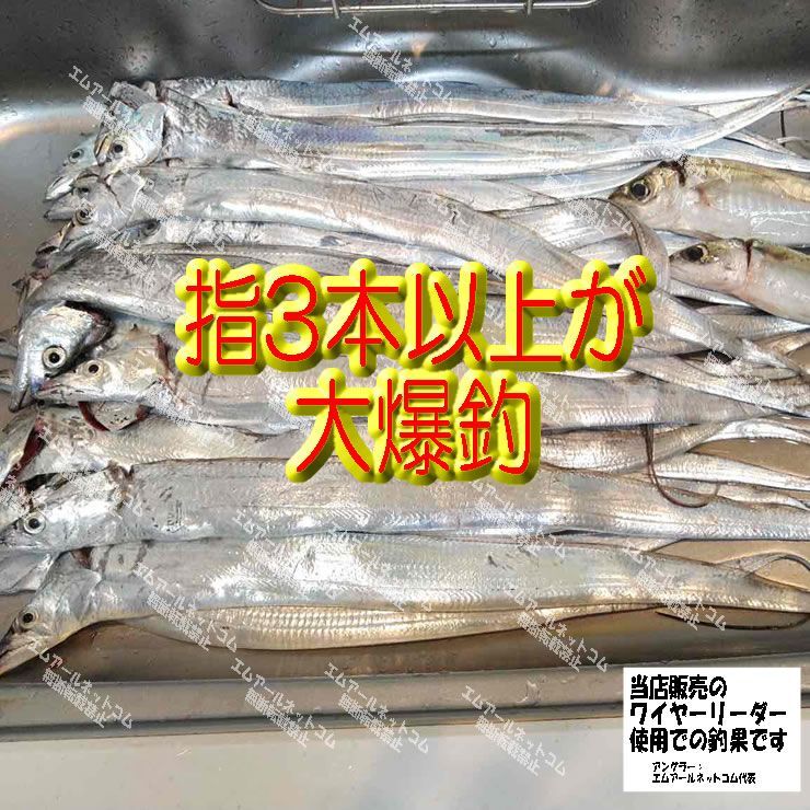 ワイヤーリーダー 25ｃｍ 10本セット 太刀魚 タチウオ ジギング 青物等