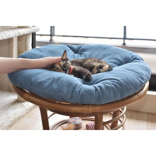 楽天市場】ポムッパの通販 ポムッパ ペルス ペトロール サイズ85