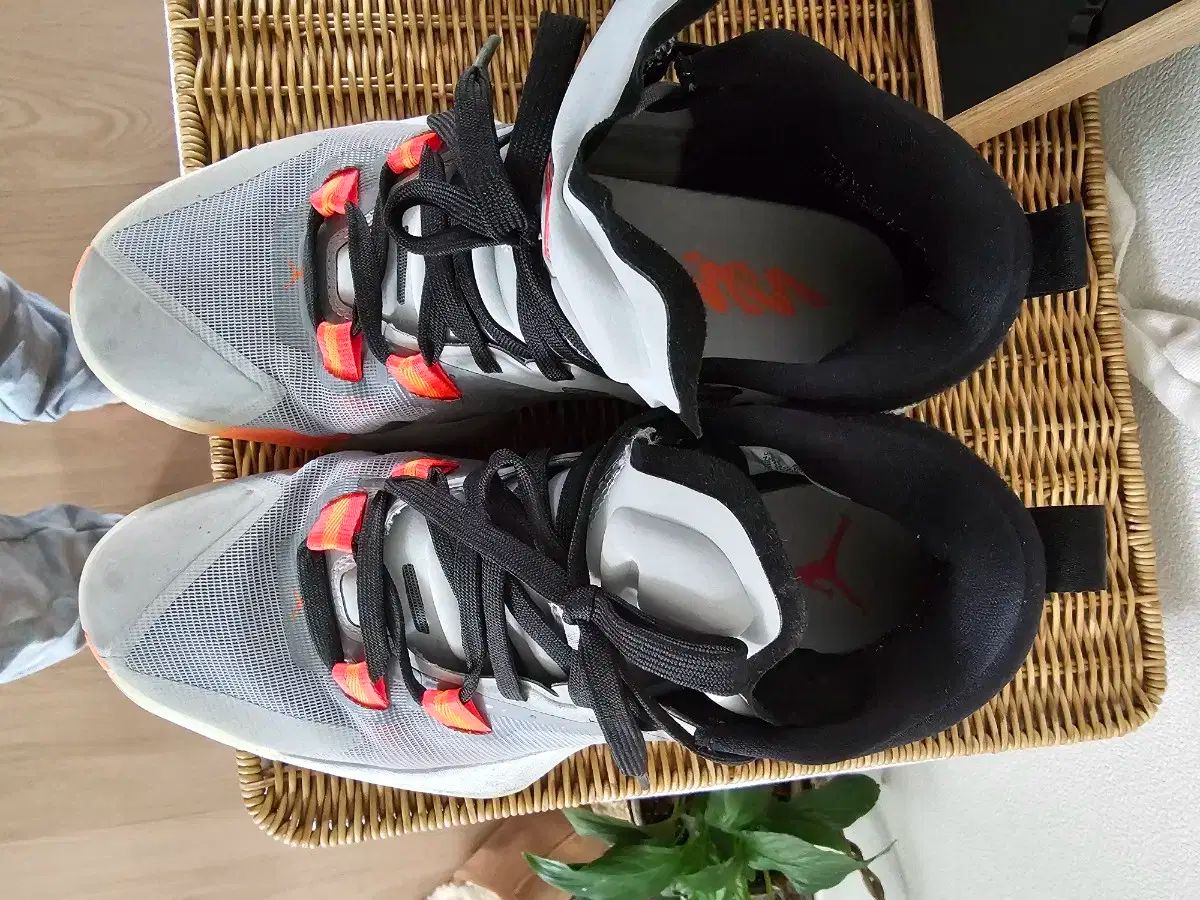 ジョーダン バスケットシューズ