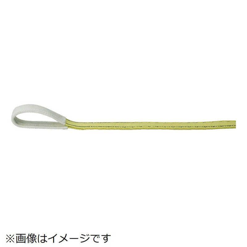 トラスコ中山 TRUSCO リサイクルポリエステルスリング JIS3等級 両端アイ形 100mmX3.0m TRPS100-3.0 [A230101] トラスコ中山 TRUSCO ベルトスリング リサイクルポリエステルスリング