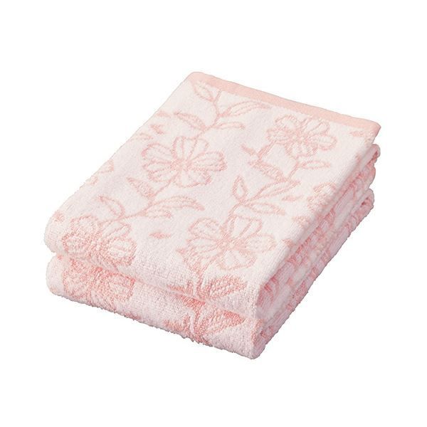 nekoさん専用 アガベ チタノタ ハデス 親株