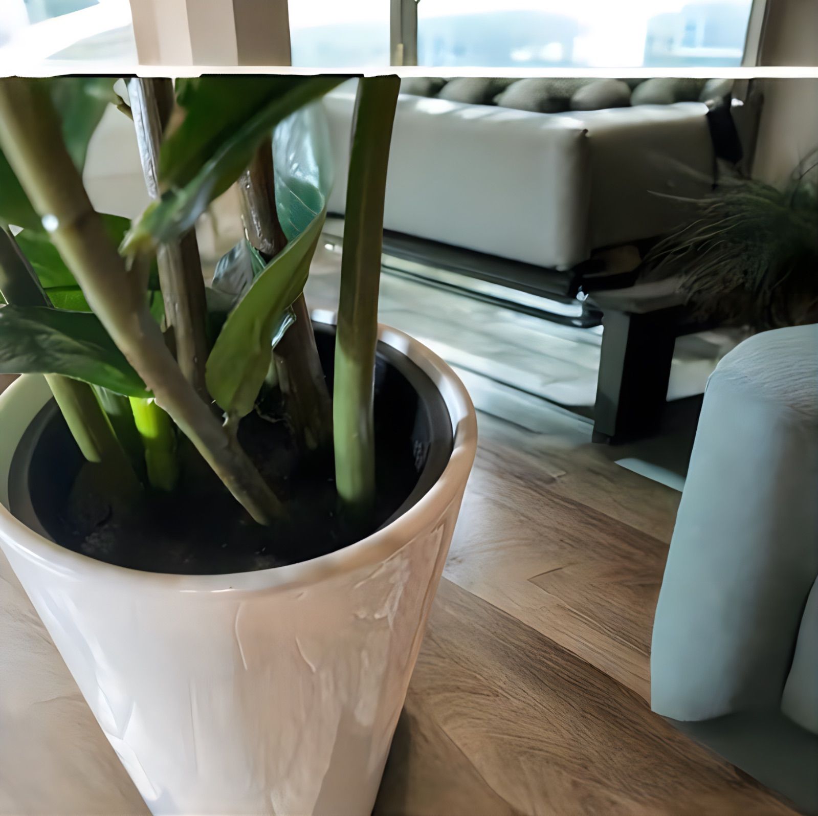 光触媒 人工観葉植物 ウォールグリーン フェイクグリーン ザミフォリア