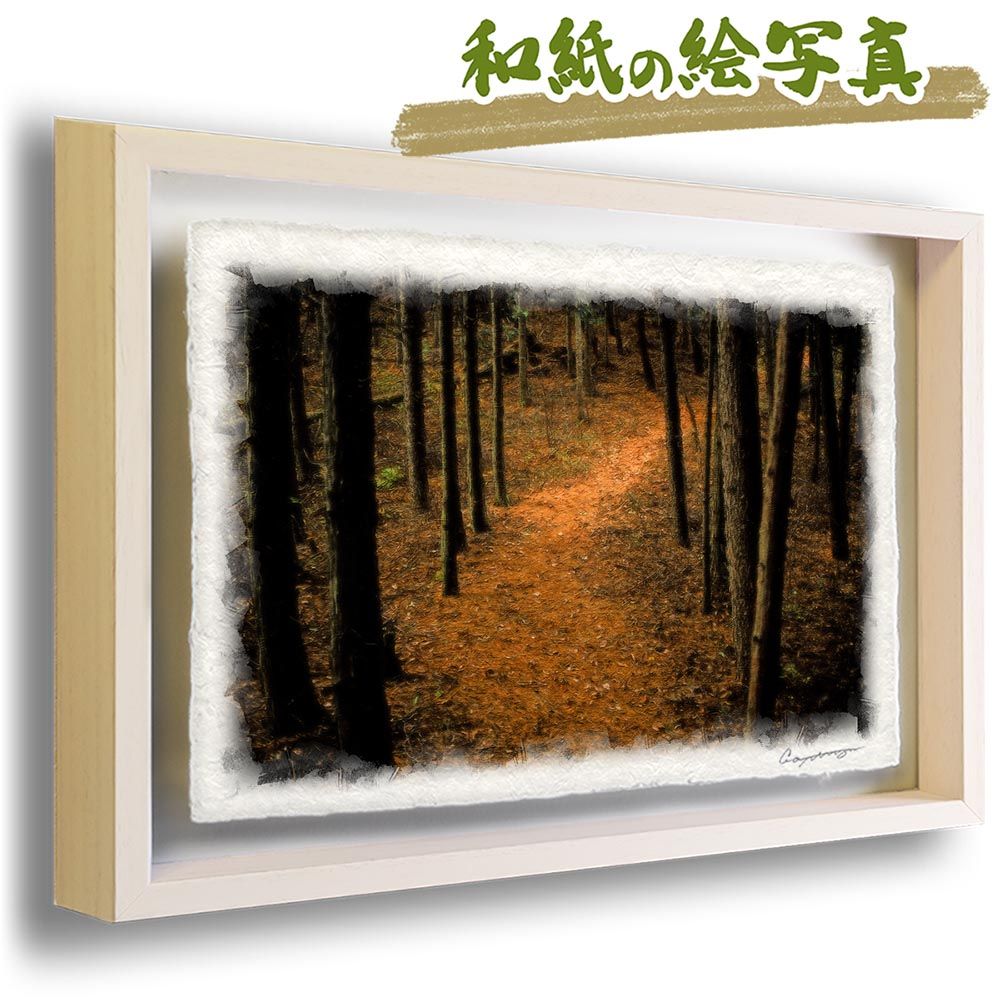 子どものための世界文学の森　全40巻セット　集英社　三国志　ルパン城　透明人間 子どものための世界文学の森 全40巻セット 集英社 三国志 ルパン城