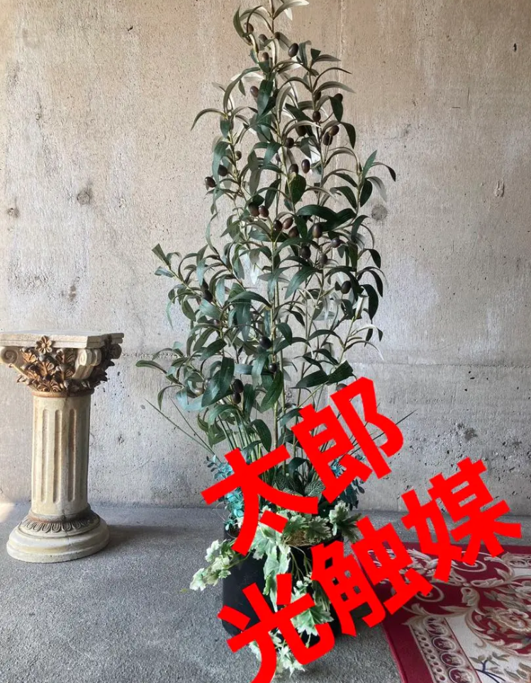光触媒 人工観葉植物 ウォールグリーン フェイクグリーン オリーブ