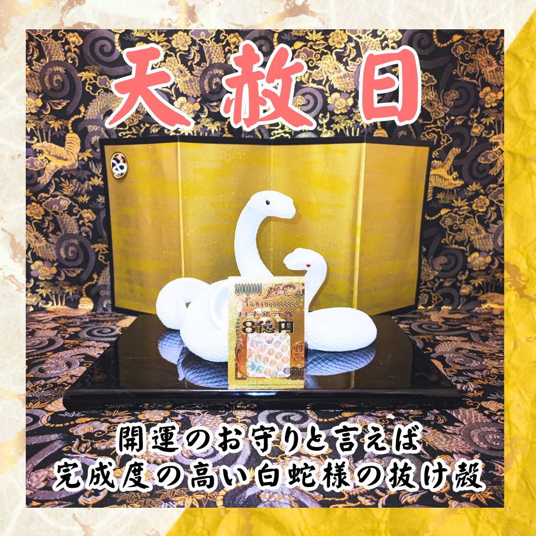 1【カード左】 白蛇の抜け殻 金運 お守り 折財布に！ 開運 - メルカリ