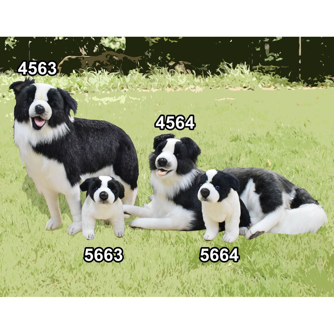 HANSA ボーダーコリー　等身大　ぬいぐるみ　リアル ボーダーコリー 118 | HANSA