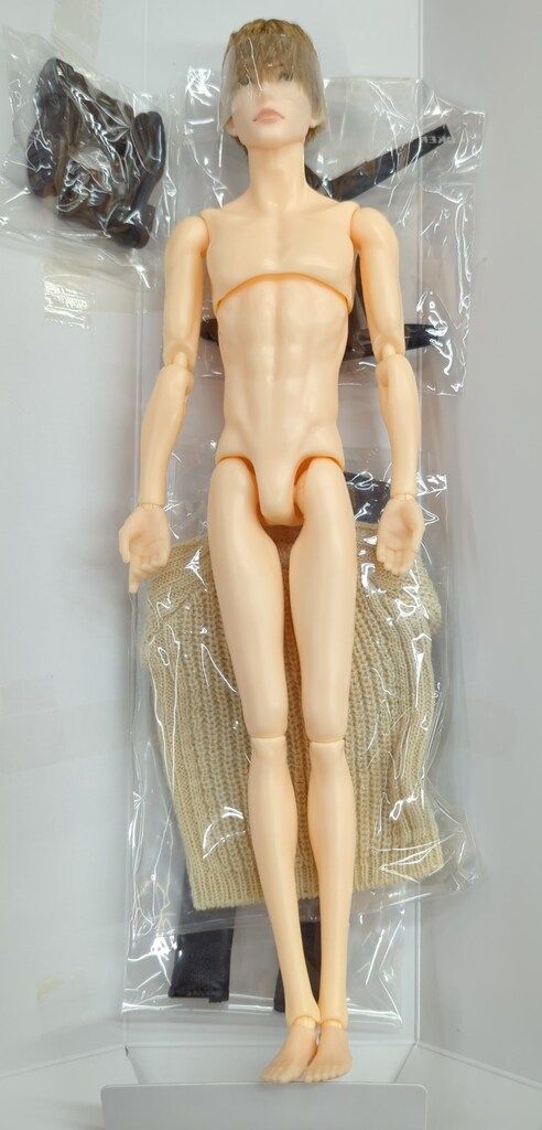 ペットワークス 六分の一男子図鑑 ナイン パンクスタイル