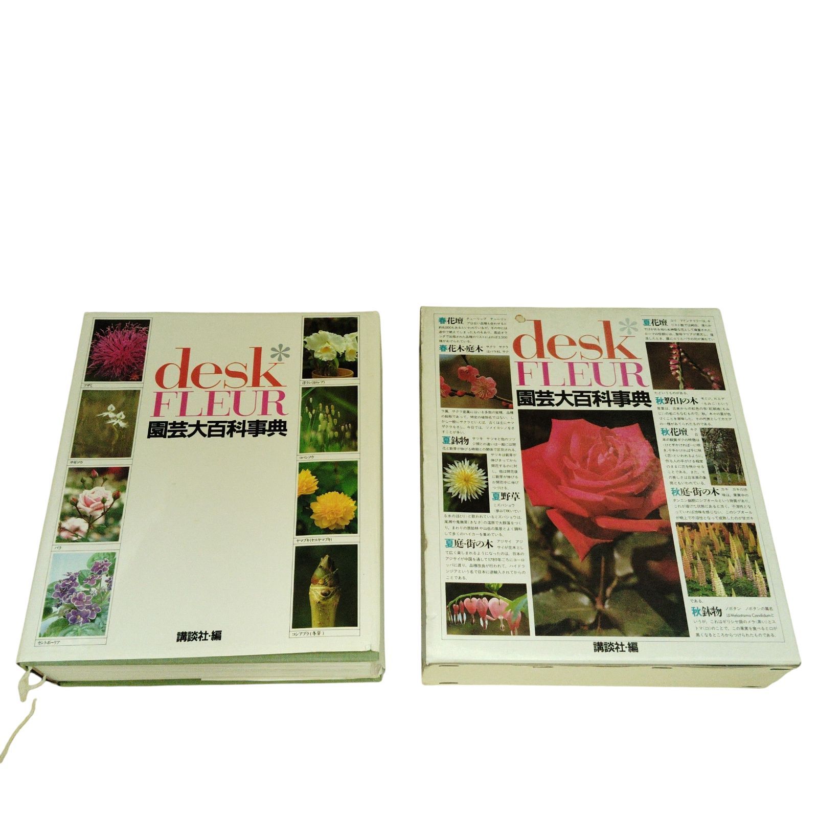 X09093 園芸百科事典 講談社 desk FLEUR ISBN4-06-202313-X C2576 園芸