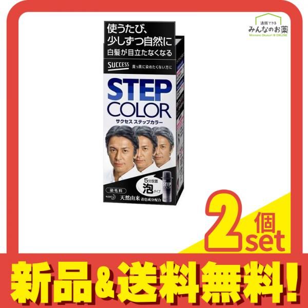 サクセス ステップカラー 110g 2個セット まとめ売り