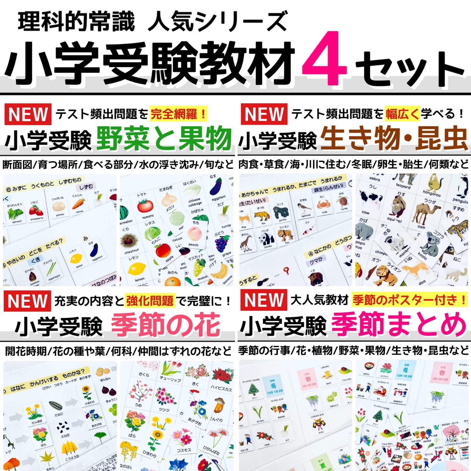 小学校受験マスター　教材セット　季節　野菜　果物　動物　生き物　昆虫　花　理科的常識　幼児教育　知育