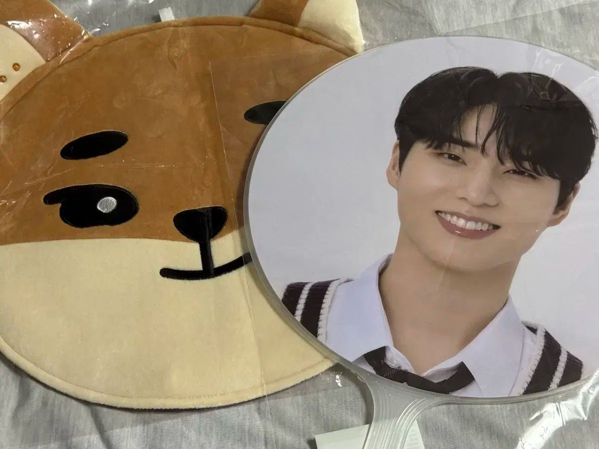 FAN ゲーム・おもちゃ・グッズ DAY6(デイシックス) ケー うちわ COVER