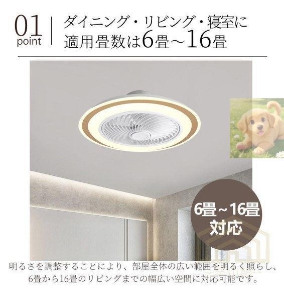 シーリングライト ファン付き
