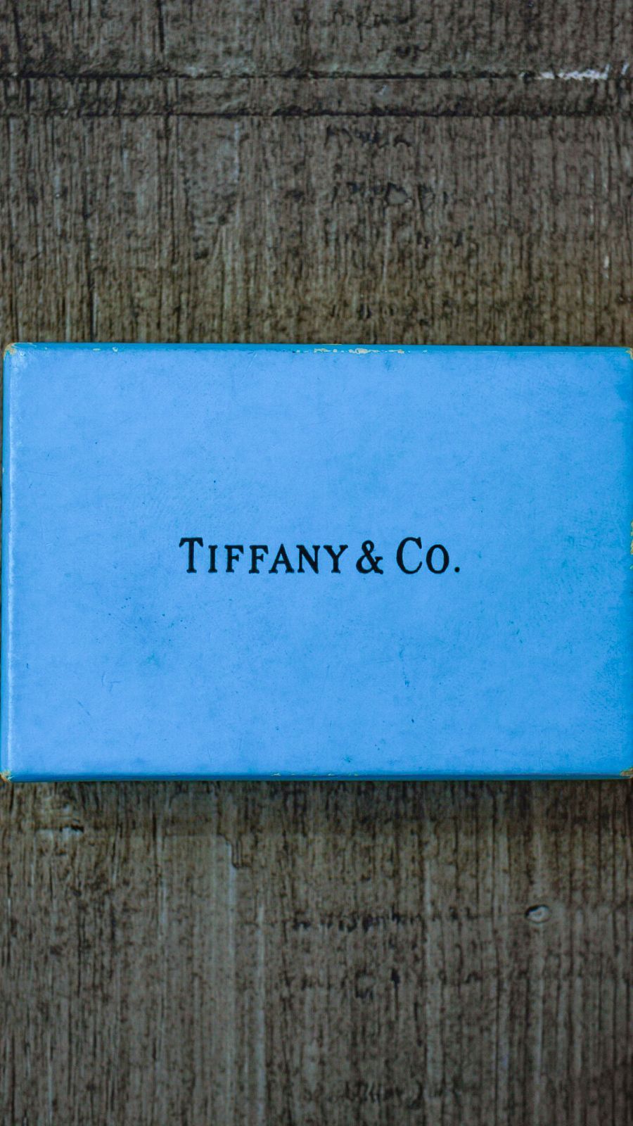 Tiffany Co. ティファニー GOODNEWS ピン バッジ シルバー - その他