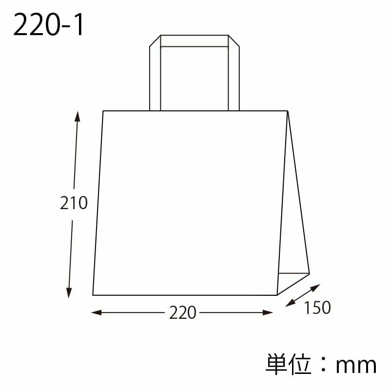 紙袋 Nフラットチャームバッグ