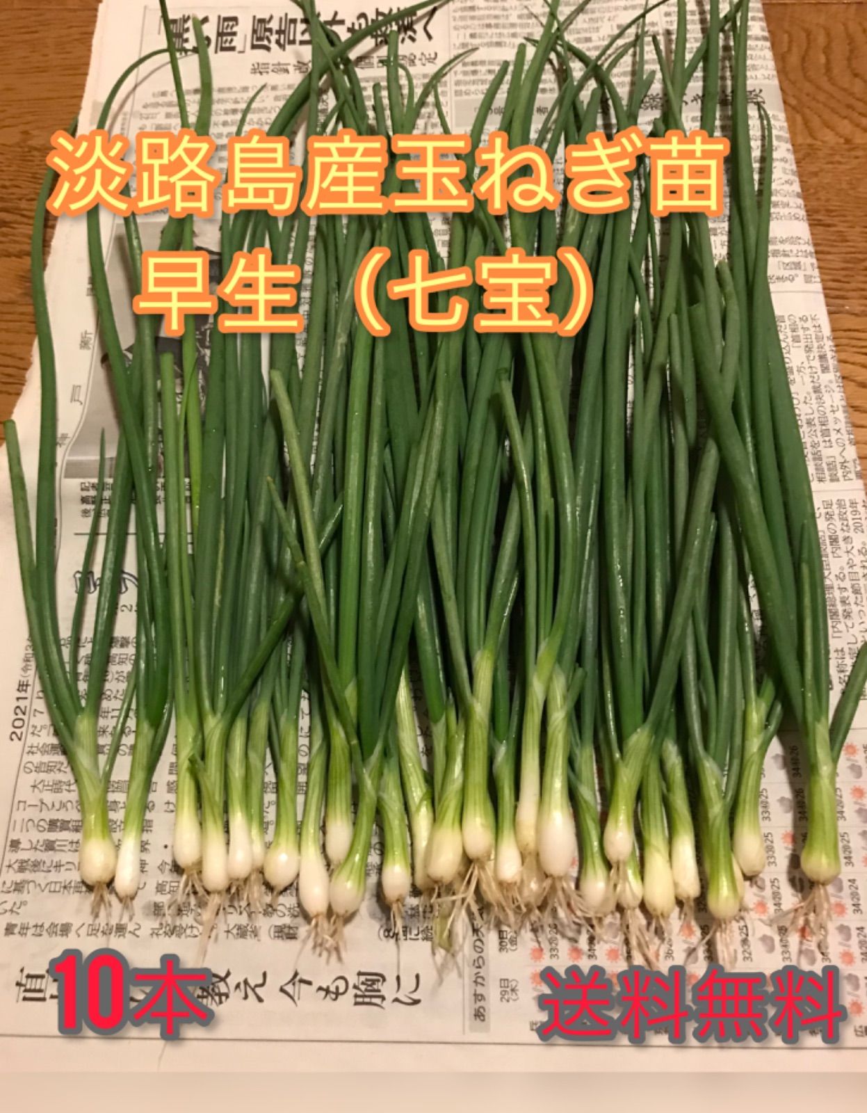 淡路島産玉ねぎ苗（早生 七宝）10本 - 淡路島野菜販売 -さと村ファーム
