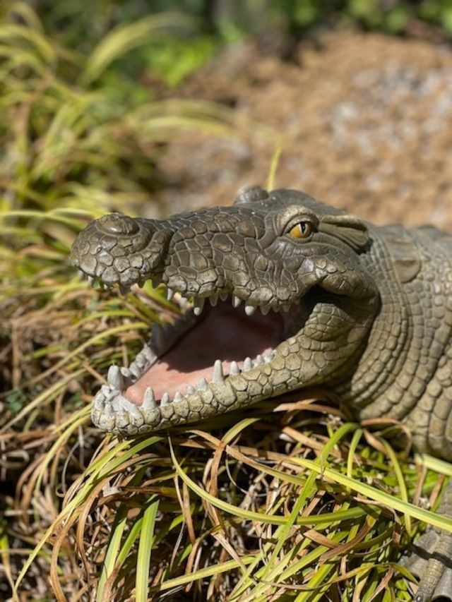 ワニ 置物 ガーデニング 79cm メラミン樹脂製 クロコダイル オブジェ インテリア 玄関 庭園 カフェ 動物