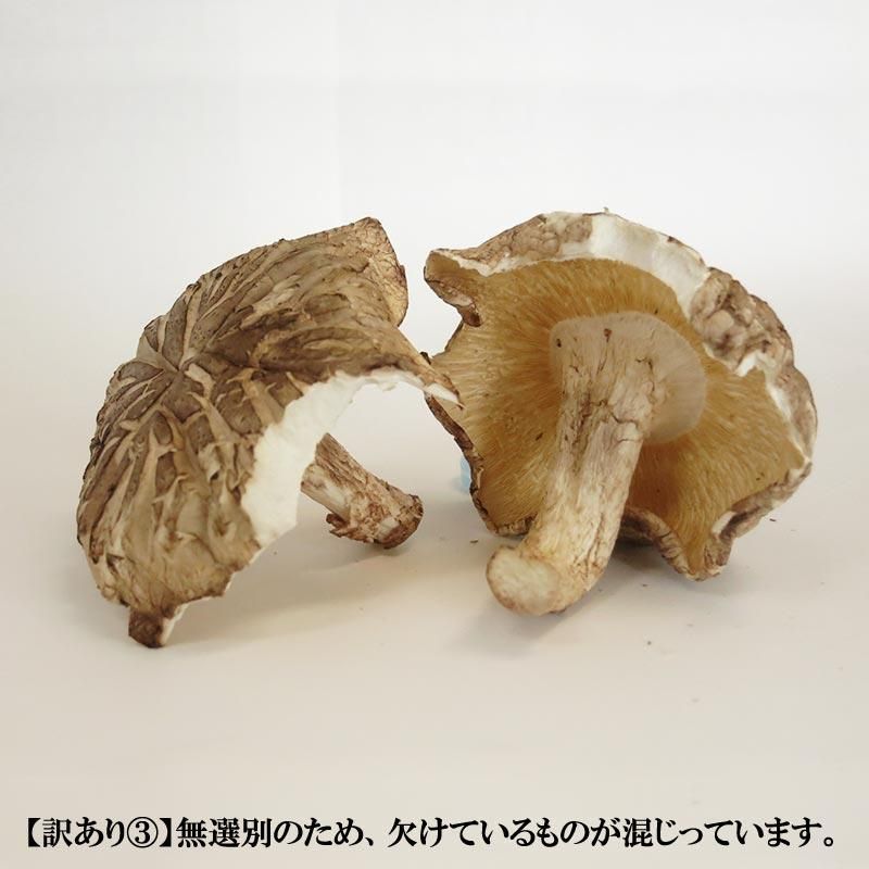 干し椎茸 国産 訳あり 1kg(500gx2袋 干し しいたけ 一番採り生どんこ 椎茸 シイタケ) メルカリ