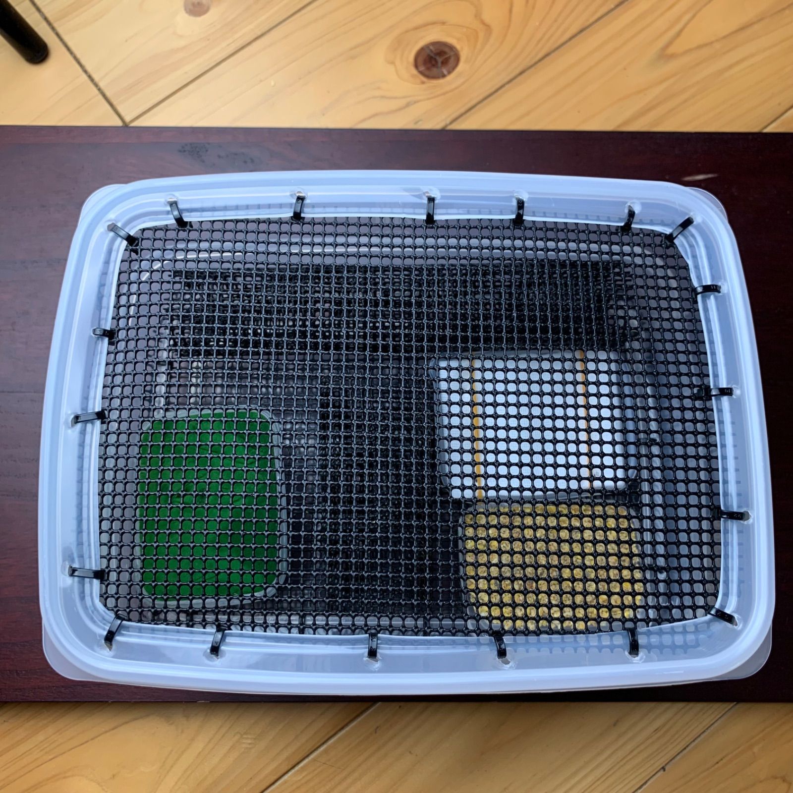 コオロギ飼育セット 両生類 デュビア レッドローチ 飼育ケージ