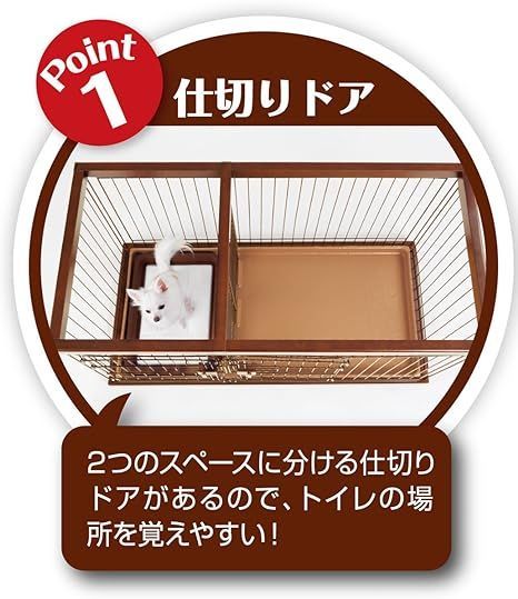ペティオ