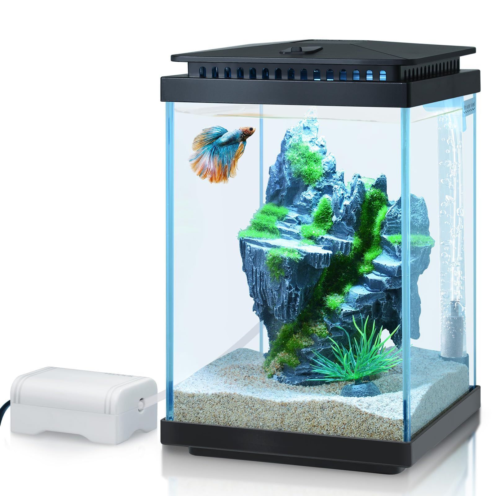 5L小型ガラス水槽、静かな透明アクアリウム、LEDライト/ぶくぶく水