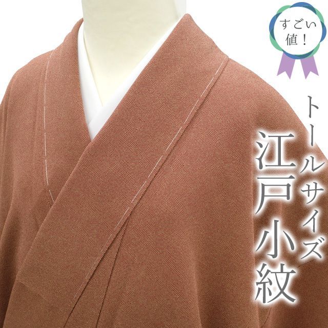 中古】すごい値！江戸小紋 着物 袷 正絹 赤茶地 鮫 中古 カジュアル 仕立て上がり 身丈168 裄71 パールトーン加工済 ＴＬサイズ トールサイズ  ＬＬ ２Ｌ 観劇 お食事 ショッピング 販売 購入 リサイクル すごいね みやがわ nek00837 - メルカリ