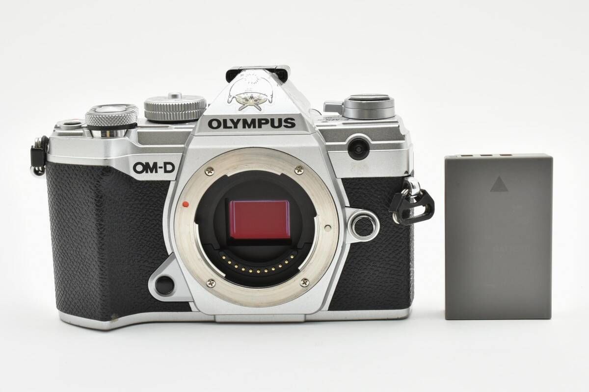 ジャンク オリンパス OLYMPUS OM-D E-M5 Mark III ボディ シルバー ミラーレス一眼カメラ L19 6579