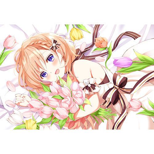 ご注文はうさぎですか BLOOM まくらカバー（ココア3）