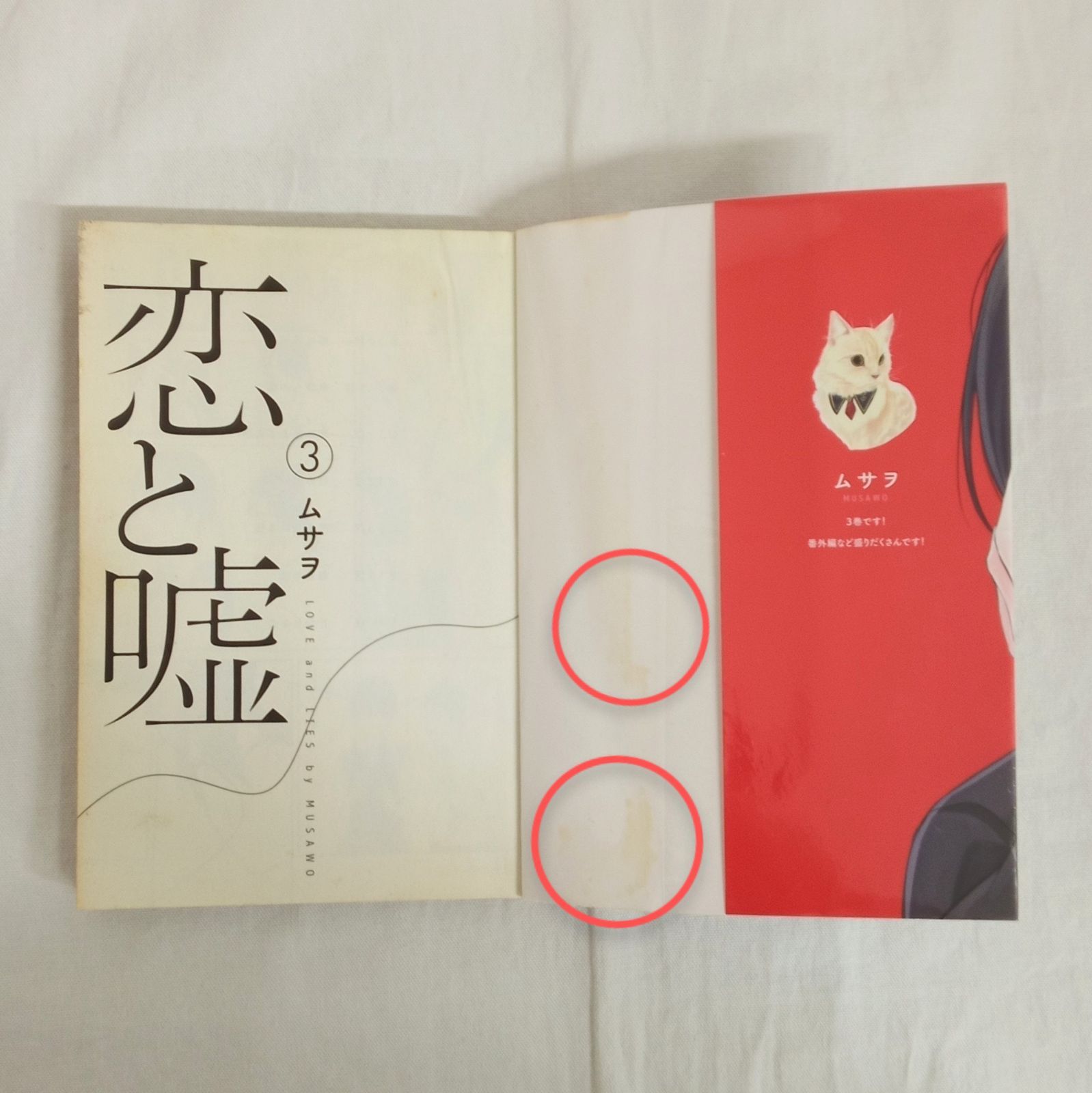 恋と嘘 色紙　ムサヲ　非売品 講談社コミックス マンガボックス 恋と嘘 ムサヲ 1巻〜11巻