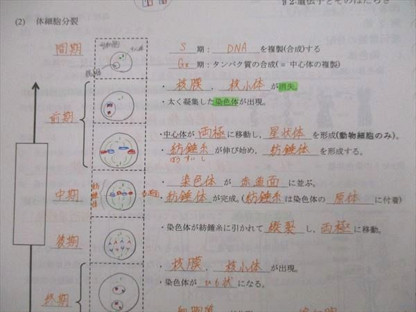 VJ26-066 大阪桐蔭高校 1類 物理 教科書・ノート・授業プリント