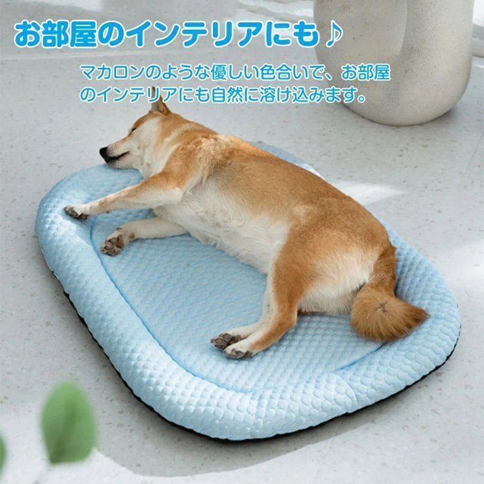 ペット 猫