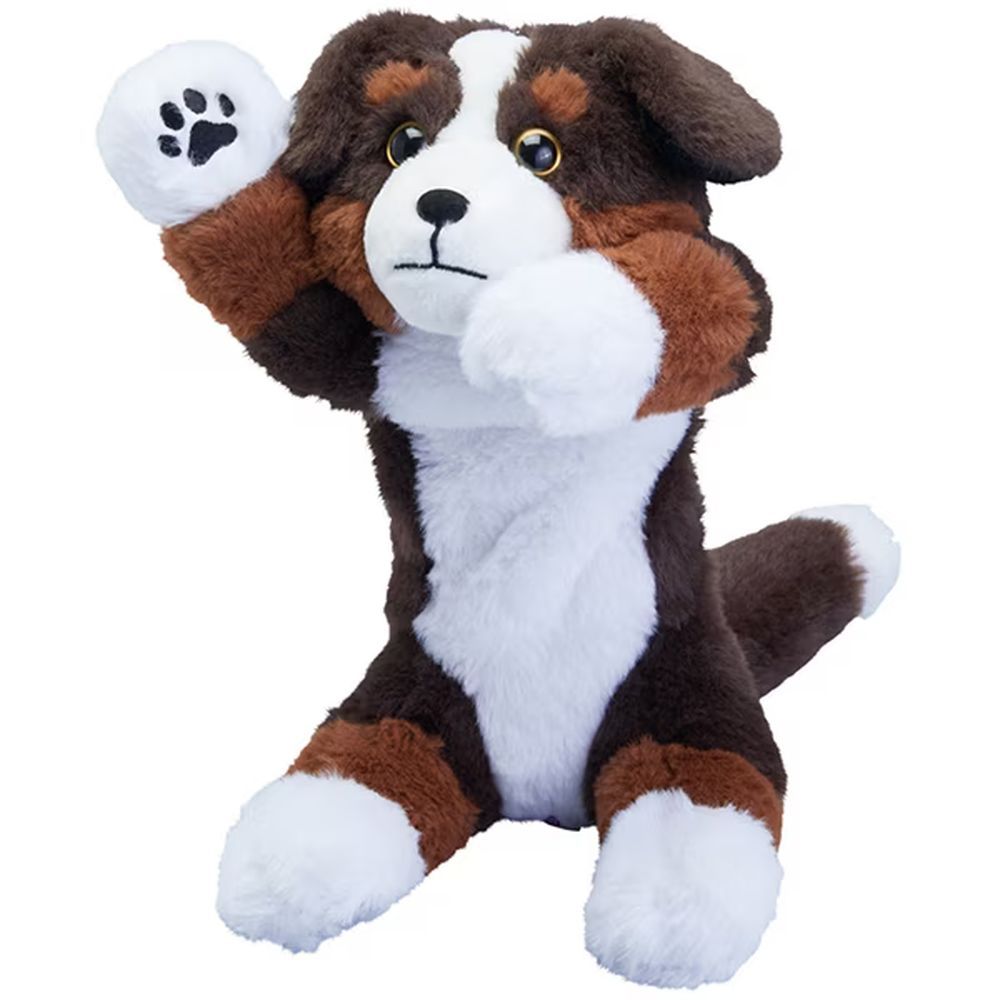 レア！西野カナ☆札幌ピヴォ店DM&【2010年】札幌限定冊子ウィーボ 西野カナ