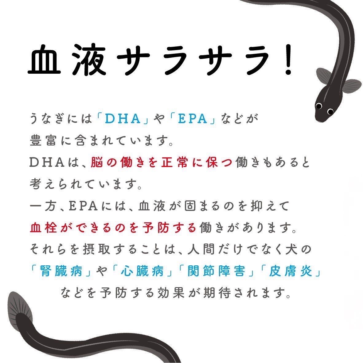 1kg ペットフード研究所