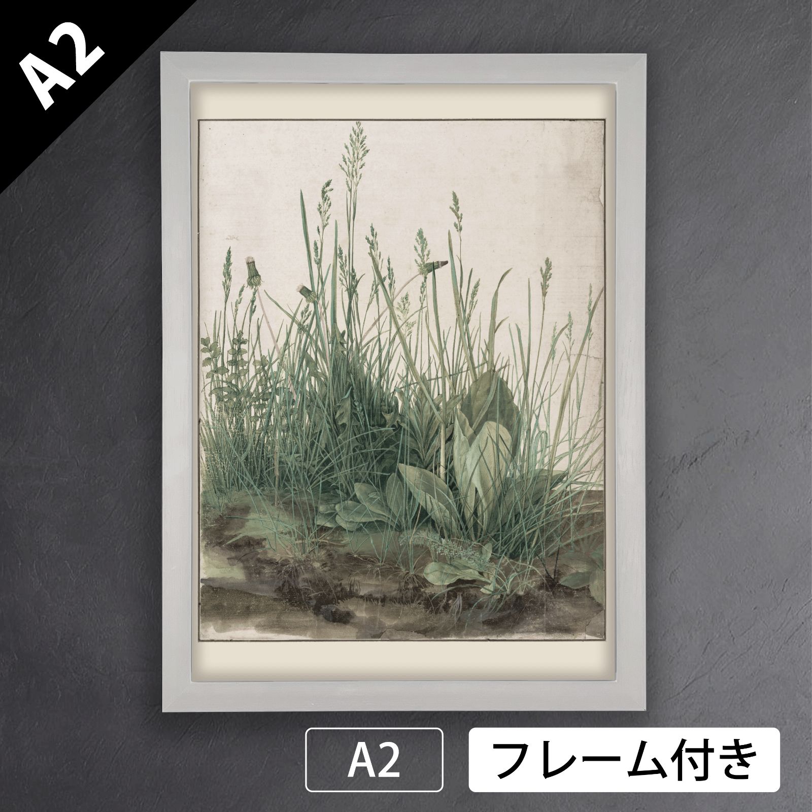 アルブレヒト デューラー 大きな芝片 芝草 1503年 アートポスターA2 マット紙 フレーム付 IN