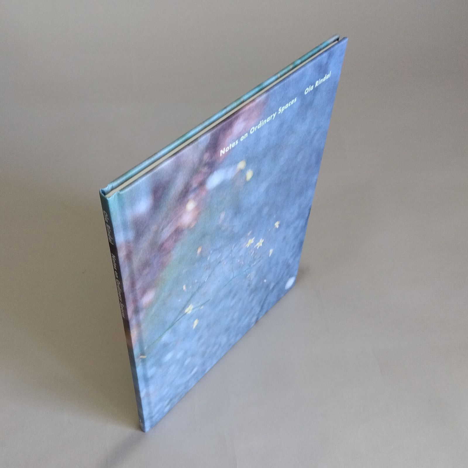Ola Rindal: Notes on Ordinary Spaces - メルカリ