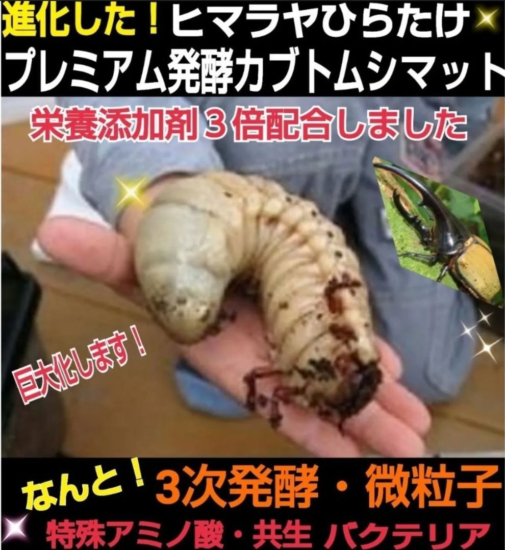 5ケースセット】カブトムシの幼虫を入れるだけ！便利です！プレミアム