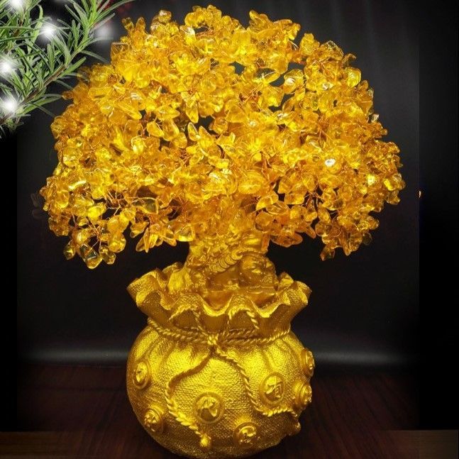 特大黄金木招財樹 3ccc54d22bac2ef2d2a499d9093155