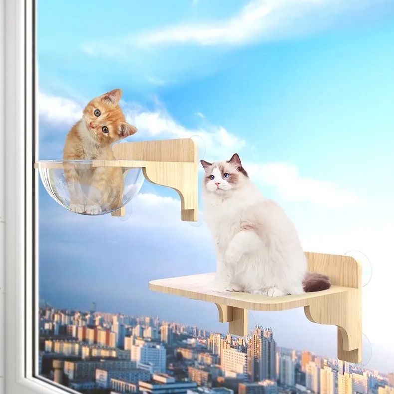 ✅ 吸盤で簡単設置 お部屋が空中キャットランドに 壁付けキャットステップセット