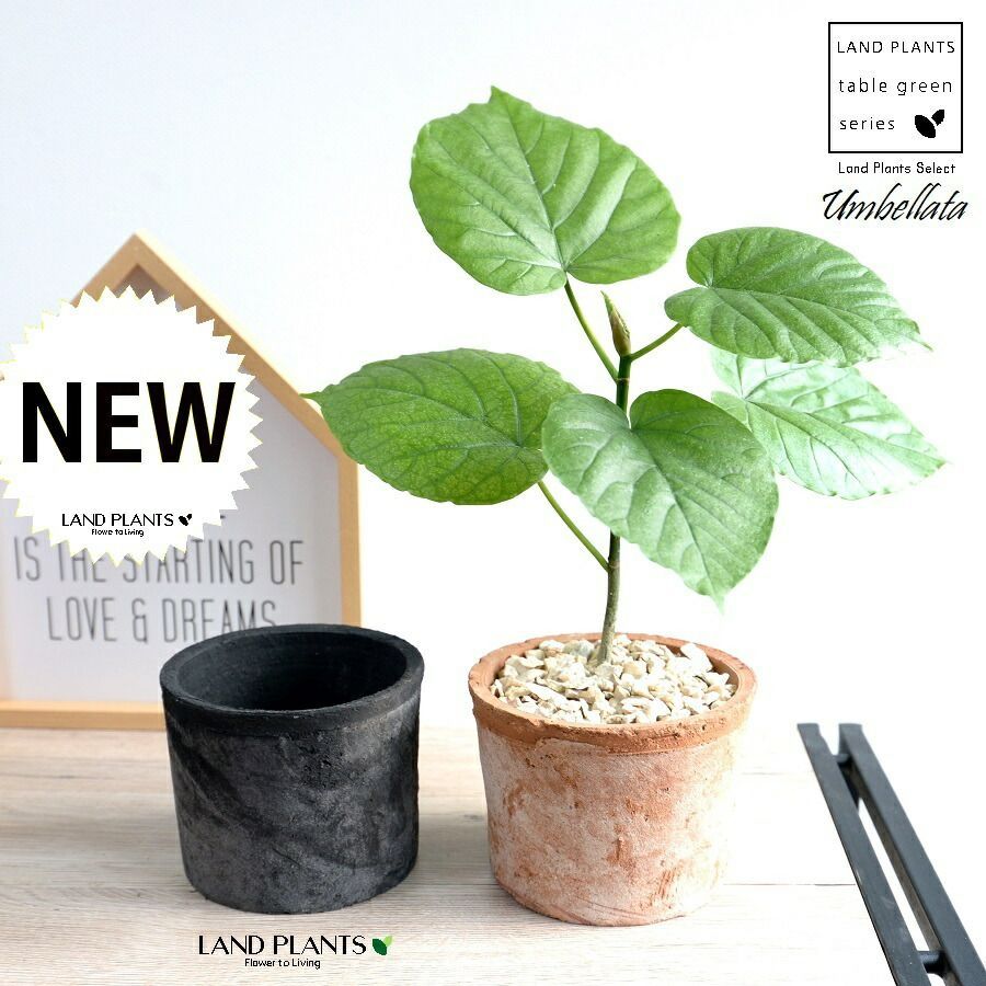 光触媒 人工観葉植物 ウォールグリーン フェイクグリーン アルテシマ16