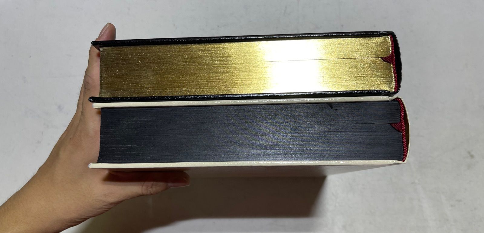 Dries Van Noten ドリスヴァンノッテン 1-100 写真集 2冊組