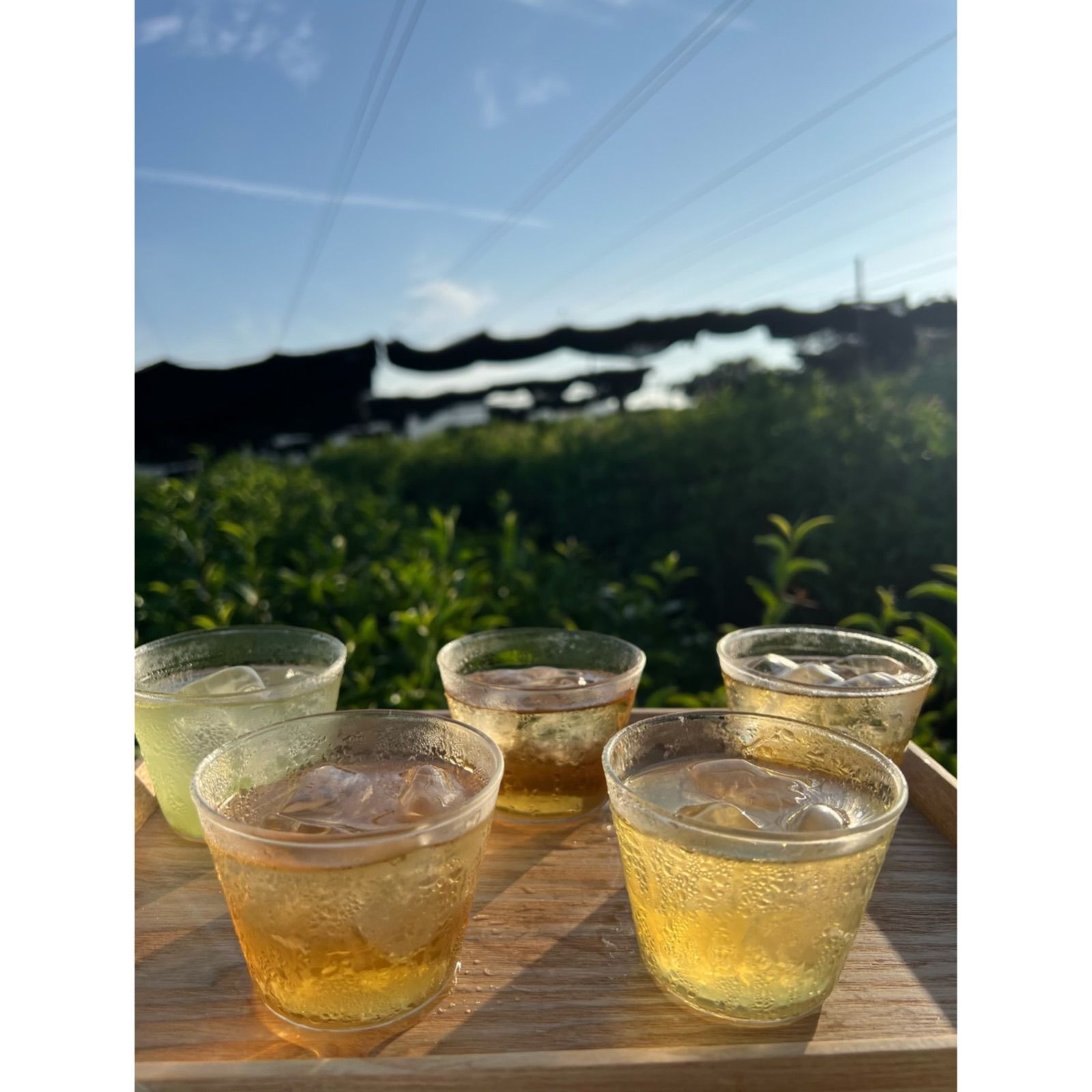 8/8-8/11まで】夏のお茶5種類飲み比べセット(計40個入り) - メルカリ