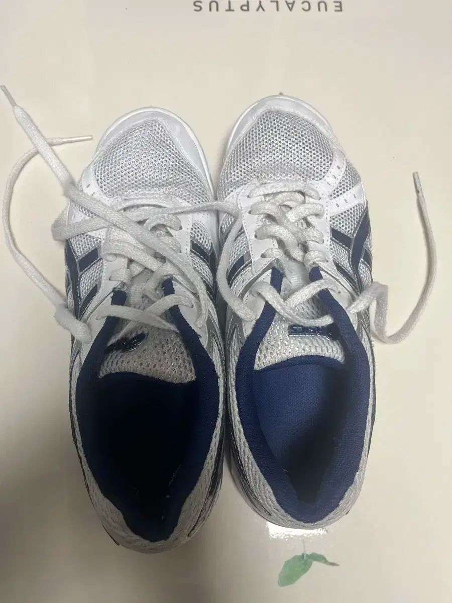asics アシックス 宝くじ FL5 245 サイズ